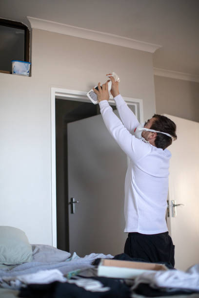 Best Mold Documentation for Insurance Claims  in New Albany, IN