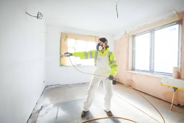 Best Mold Odor Removal Services  in New Albany, IN