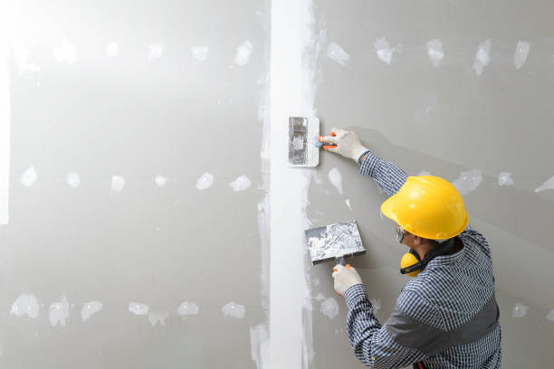 Best Residential Mold Inspection & Testing  in New Albany, IN