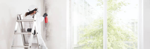 Mold Remediation for Vacation Homes in New Albany, IN