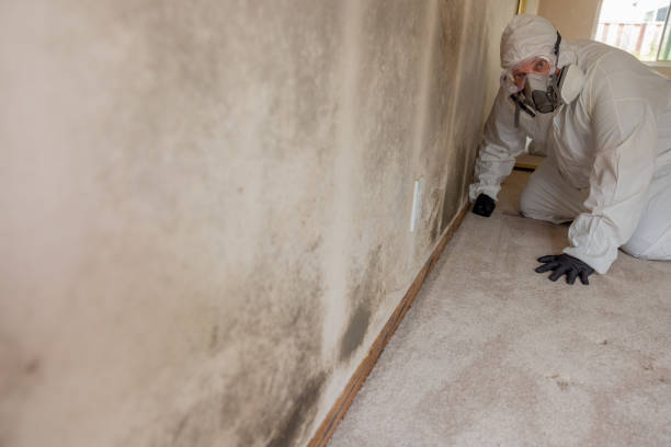 Best Dehumidification Services  in New Albany, IN