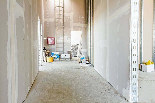 Best Crawl Space Mold Remediation  in New Albany, IN