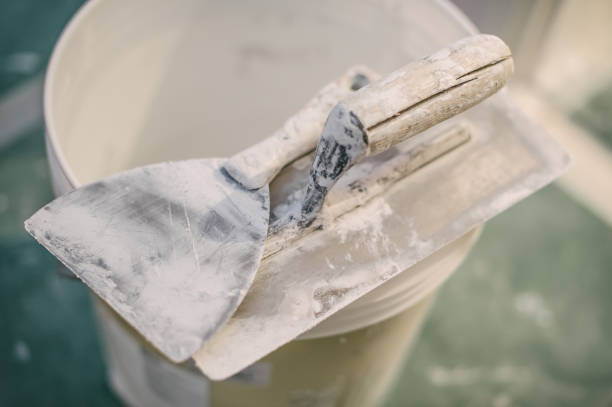 Best Mold-Related Health Consultation  in New Albany, IN