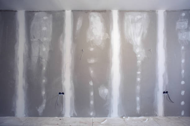 Best Basement Mold Removal  in New Albany, IN